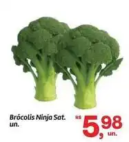 Fort Atacadista Ninja - brócolis ninja sat. un oferta