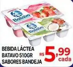 Supermercados Santa Helena bebida láctea batavo 510gr sabores bandeja oferta