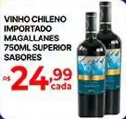 Supermercados Santa Helena vinho chileno importado magallanes oferta
