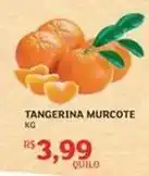 Assaí Atacadista Tangerina murcote oferta