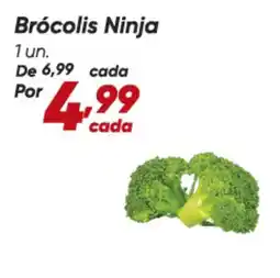 Dia Ninja - brócolis ninja oferta