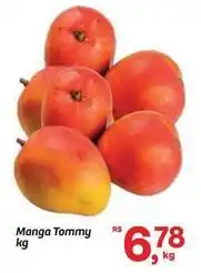 Fort Atacadista Tommy - manga oferta