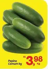 Fort Atacadista Pepino comum oferta