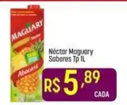 Muffato Néctar maguary sabores tp 1l oferta