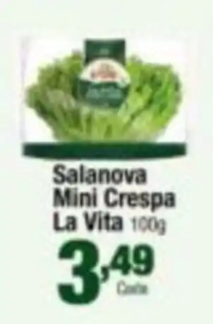 Salanova Mini Crespa La Vita