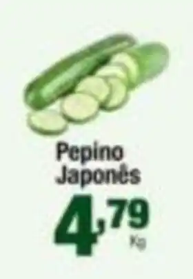 Santo Supermercados Pepino Japonês oferta