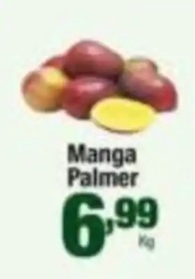 Santo Supermercados Manga palmer oferta
