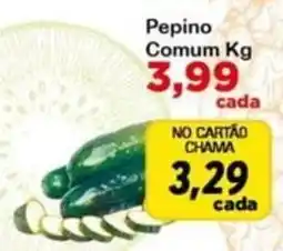 Chama Supermercados Pepino Comum oferta