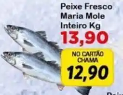 Chama Supermercados Peixe fresco maria mole inteiro kg oferta