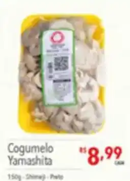 Supermercados Condor Cogumelo Yamashita oferta