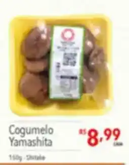 Supermercados Condor Cogumelo Yamashita oferta