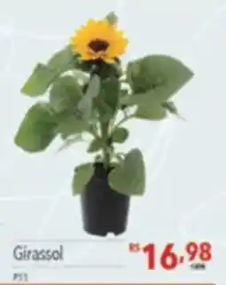 Supermercados Condor Girassol oferta