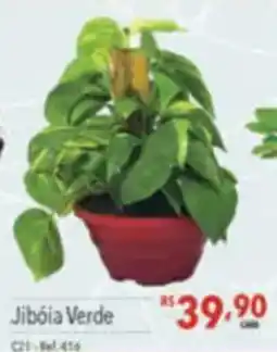 Supermercados Condor Jibóia Verde oferta
