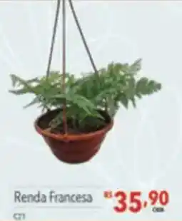 Supermercados Condor Renda Francesa oferta