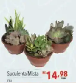 Supermercados Condor Suculenta Mista oferta