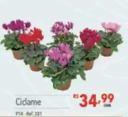 Supermercados Condor Cidame oferta