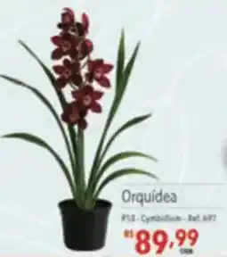 Supermercados Condor Orquídea oferta