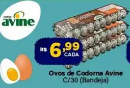 Super Show Ovos de Codorna Avine oferta