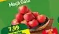 Rede Bom Lugar Maçã Gala oferta