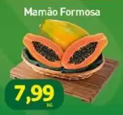 Rede Bom Lugar Mamão Formosa oferta