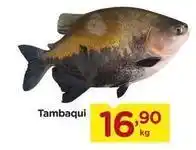 Carrefour Tambaqui oferta