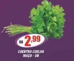 Violeta Supermercados Coentro coelho oferta