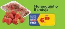 Tonin Superatacado Bandeira - moranguinho oferta
