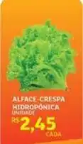 Assaí Atacadista Alface-crespa hidroponica oferta