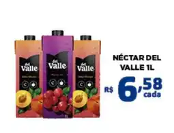 Bahamas Mix Néctar del valle 1l oferta