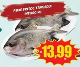 Costa Atacadão Peixe fresco tambaqui inteiro kg oferta