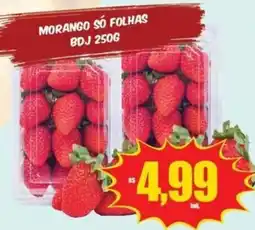 Costa Atacadão Morango só folhas oferta