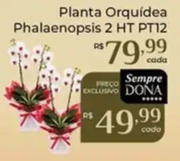 Dona de Casa Planta Orquídea Phalaenopsis 2 HT PT12 oferta