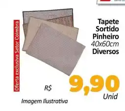 Hiper Moreira Tapete sortido pinheiro oferta