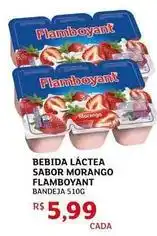 Assaí Atacadista Flamboyant - bebida láctea sabor morango oferta