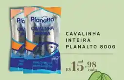 Empório Bahamas Cavalinha inteira planalto oferta