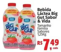 Mix Mateus Bebida Láctea Big Gut Sabor & Vida oferta