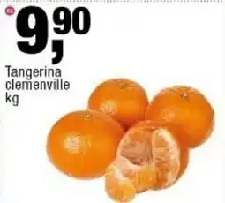 Frangolândia Tangerina clemenville oferta