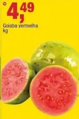 Frangolândia Goiaba vermelha oferta