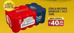 Preço & Cia Cerveja multipack budweiser oferta