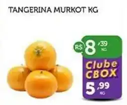 CenterBox Tangerina murkot kg oferta