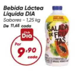 Dia Bebida Láctea Líquida Dia oferta
