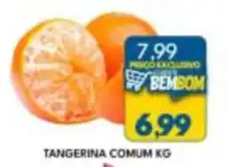 Rancho Bom Supermercados Tangerina comum kg oferta