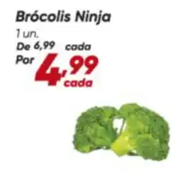 Dia Ninja - brócolis ninja oferta