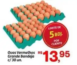 Fort Atacadista Ovos vermelhos grande bandeja oferta
