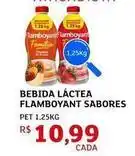 Assaí Atacadista Flamboyant - bebida láctea sabores oferta