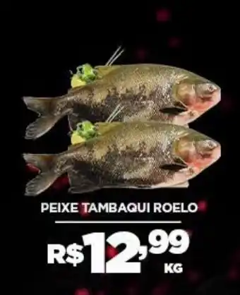 Peixe tambaqui roeiro