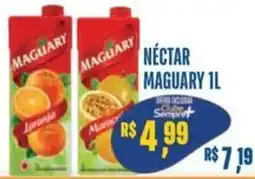 Sempre Vale Supermercados Néctar maguary 1l oferta