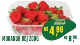 Sempre Vale Supermercados Morango bdj oferta