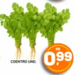 Juzan Coentro und. oferta