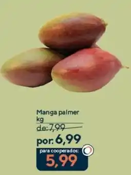 Coop Manga palmer oferta